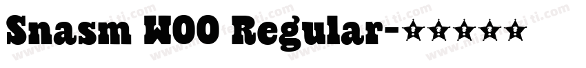 Snasm W00 Regular字体转换